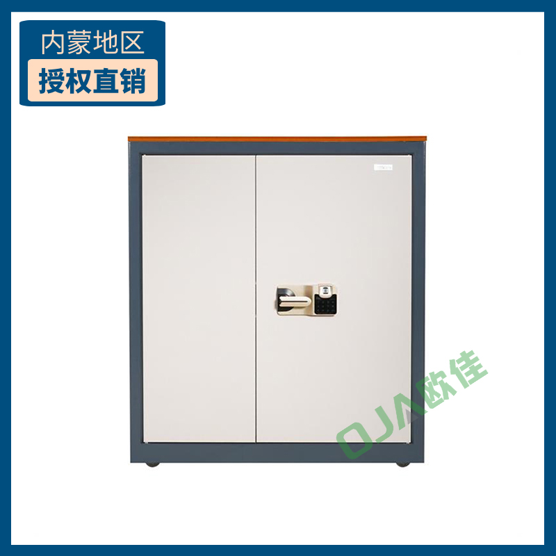 國保/金屬質(zhì)柜類/Z158-Z1/指紋密碼保密柜新款 小雙門保密文件柜/機(jī)械鎖抽屜*1/規(guī)格1000*900*430mm