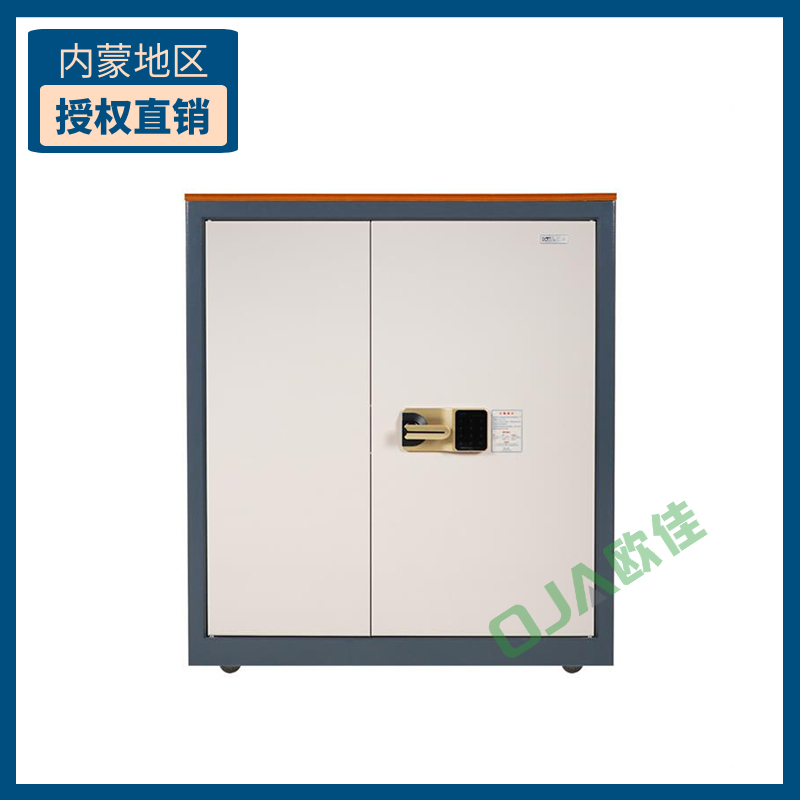 國保/金屬質(zhì)柜類/M153-K1/保密文件柜 觸屏電子密碼柜半節(jié)雙門柜/機(jī)械鎖抽屜*1/規(guī)格1000*900*430mm